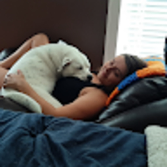 Meet your Posher, Blake - Picture 1 of 1